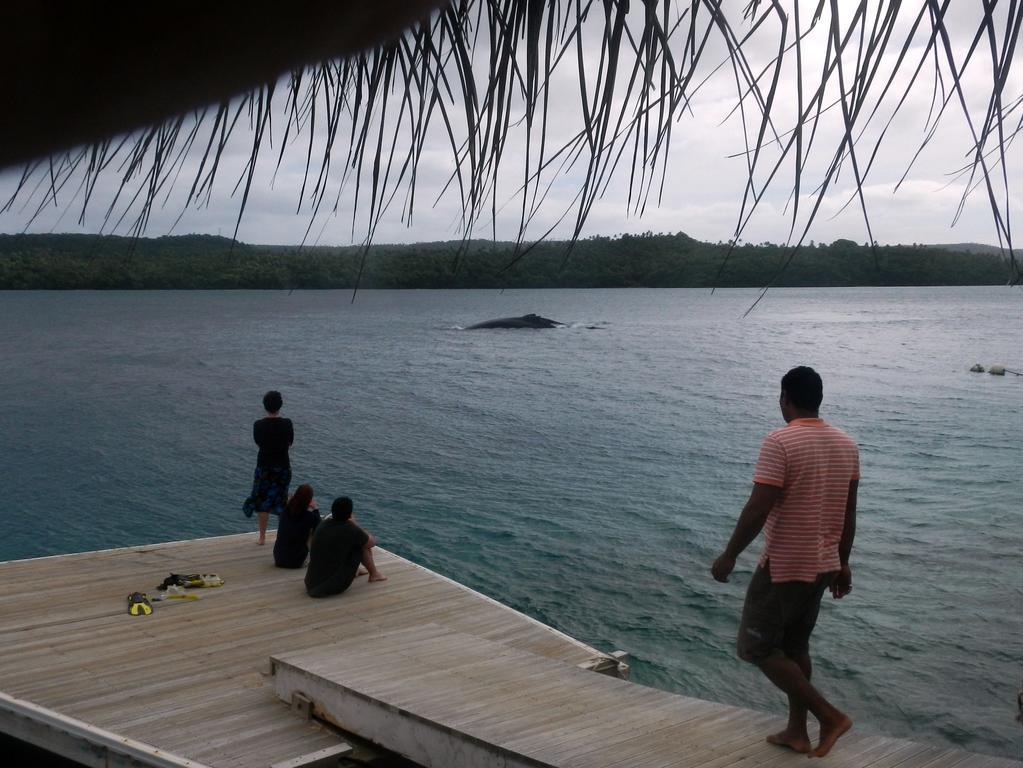 Tongan Beach Resort Utungake Esterno foto